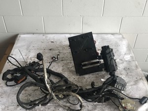 Used 2016 Cummins ISL9 Chassis Harness (Stock #555-10169)) Part Image