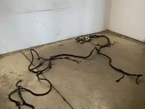 Used 2018 Freightliner Cascadia 125 Chassis Harness (Stock #555-10896)) Part Image