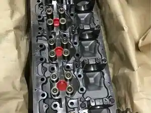 New Head Image