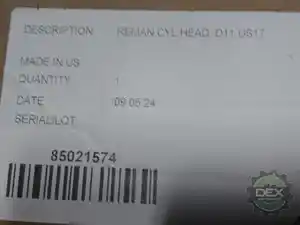 New MACK Head Image