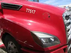Used 2019 FREIGHTLINER Cascadia Hood (Stock #109304)) Part Image
