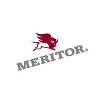 New Meritor/Rockwell Diff Misc Part Image