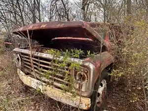 Salvage 1960 Ford F600 - U-L3-11A 1960 Ford F600