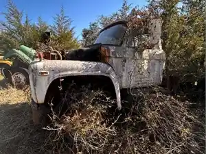 Salvage 1960 Ford Other - U-L3-19B 1960 Ford 