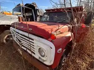 Salvage 1969 Ford F600 - 3865