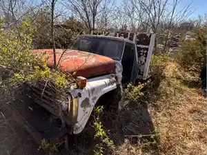 Salvage 1970 Ford F700 - U-L3-19A 1970 Ford F700