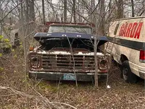 Salvage 1975 Ford F600 - U-L3-11A 1975 Ford F600