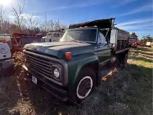 Salvage 1976 Ford F700 - 3777