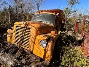 Salvage 1976 International 1700 LOADSTAR - U-L3-8B 1976 International 
