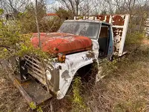 Salvage 1977 Ford F600 - U-L3-19 1977 Ford F600