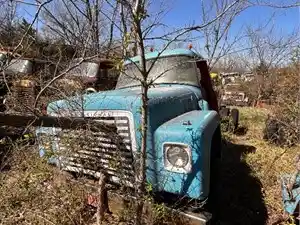 Salvage 1977 International 1600 LOADSTAR - U-L3-8B 1977 International Loadstar