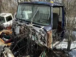 Salvage 1978 Ford L8000 - U-L2-3 FO L Series