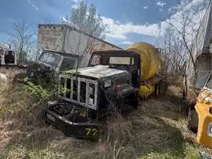 Salvage 1979 International F2674 - U-L3-14 1979 IH