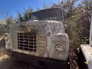 Salvage 1980 Ford 8000 - L3-19B