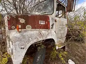 Salvage 1980 Ford 8000 - U-L3-19 1980 Ford 8000