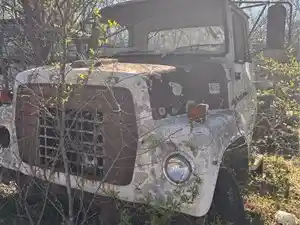 Salvage 1980 Ford 9000 - U-L3-19A 1980 Ford 9000