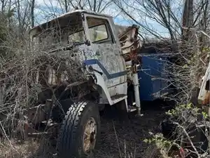 Salvage 1980 Ford L8000 - U-L3-9 1980 Ford L Series