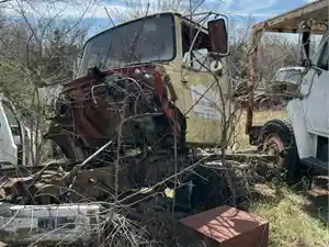 Salvage 1980 Ford Other - U-L3-9C 1980 Ford