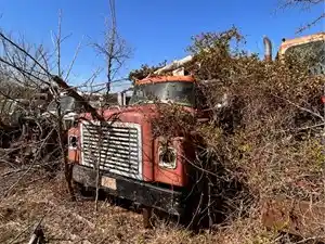 Salvage 1980 International 1600 LOADSTAR - U-L3-8A 1980 International Loadstar