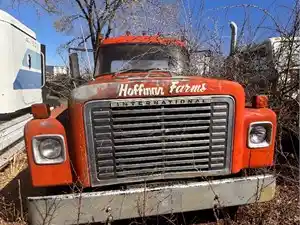 Salvage 1975 International 1600 LOADSTAR - 4423