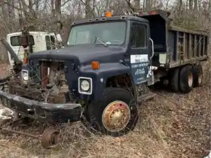 Salvage 1981 International F-1954 - 2923