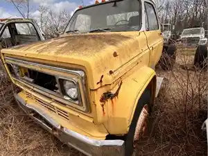 Salvage 1981 Chevrolet C70 - 3844A