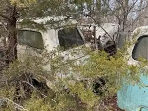 Salvage 1981 Ford F600 - 1070
