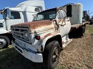 Salvage 1981 GMC C7000 - LT22