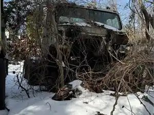 Salvage 1981 International F-2275 - 2677
