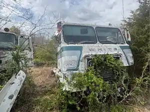 Salvage 1981 VolvoWhiteGMC Other - U-L3-16A 1981 Volvowhitegmc