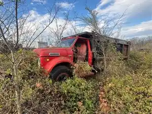 Salvage 1968 Chevrolet C60 - 3025