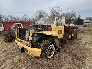 Salvage 1982 Ford F600 - 3853