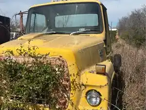 Salvage 1982 Ford LN7000 - 3891