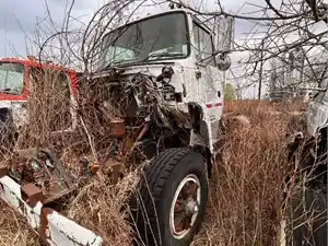 Salvage 1983 Ford 9000 - U-L4-18B 1983 Ford 9000