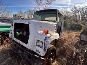 Salvage 1984 Ford 8000 - 2731