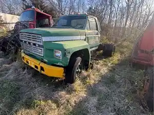 Salvage 1984 Ford F600 - 3360