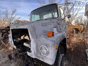 Salvage 1985 Ford 8000 - 2887