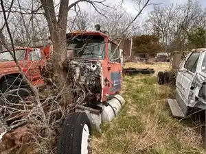 Salvage 1985 Ford LTL9000 - 2142