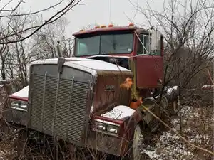 Salvage 1985 Kenworth W900 - 3206