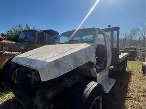 Salvage 1986 Ford F600G - 4885