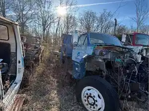 Salvage 1987 Ford F800 - 3162