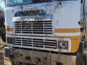 Salvage 1987 International Other - NA 189