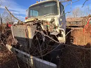 Salvage 1988 Ford LN8000 - 3406