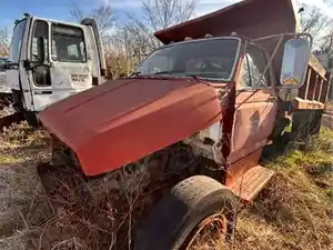 Salvage 1988 Ford Other - 3578
