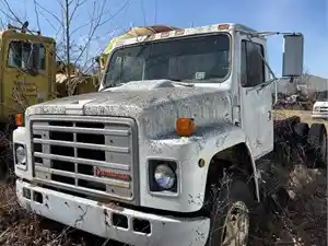 Salvage 1988 International 1954 - 4301