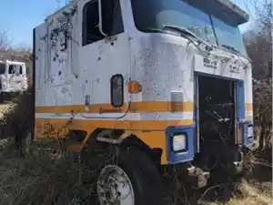 Salvage 1988 International Other - NA194