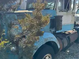 Salvage 1988 VolvoWhiteGMC ROAD BOSS - 3713