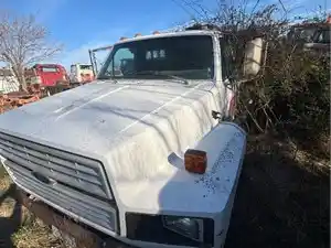 Salvage 1989 Ford F700 - 3983