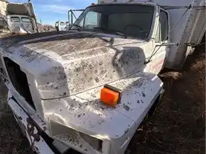 Salvage 1989 Ford F700 - 3677