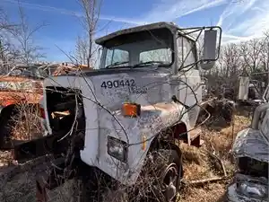 Salvage 1989 Ford LN8000 - 2593